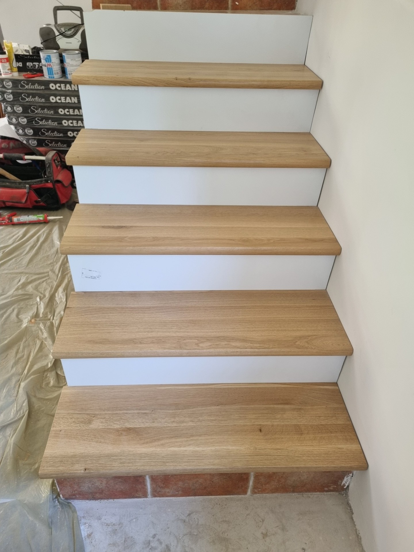 Tölgy fokok fehér homloklappal